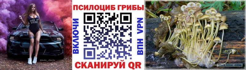 Галлюциногенные грибы GOLDEN TEACHER Семилуки